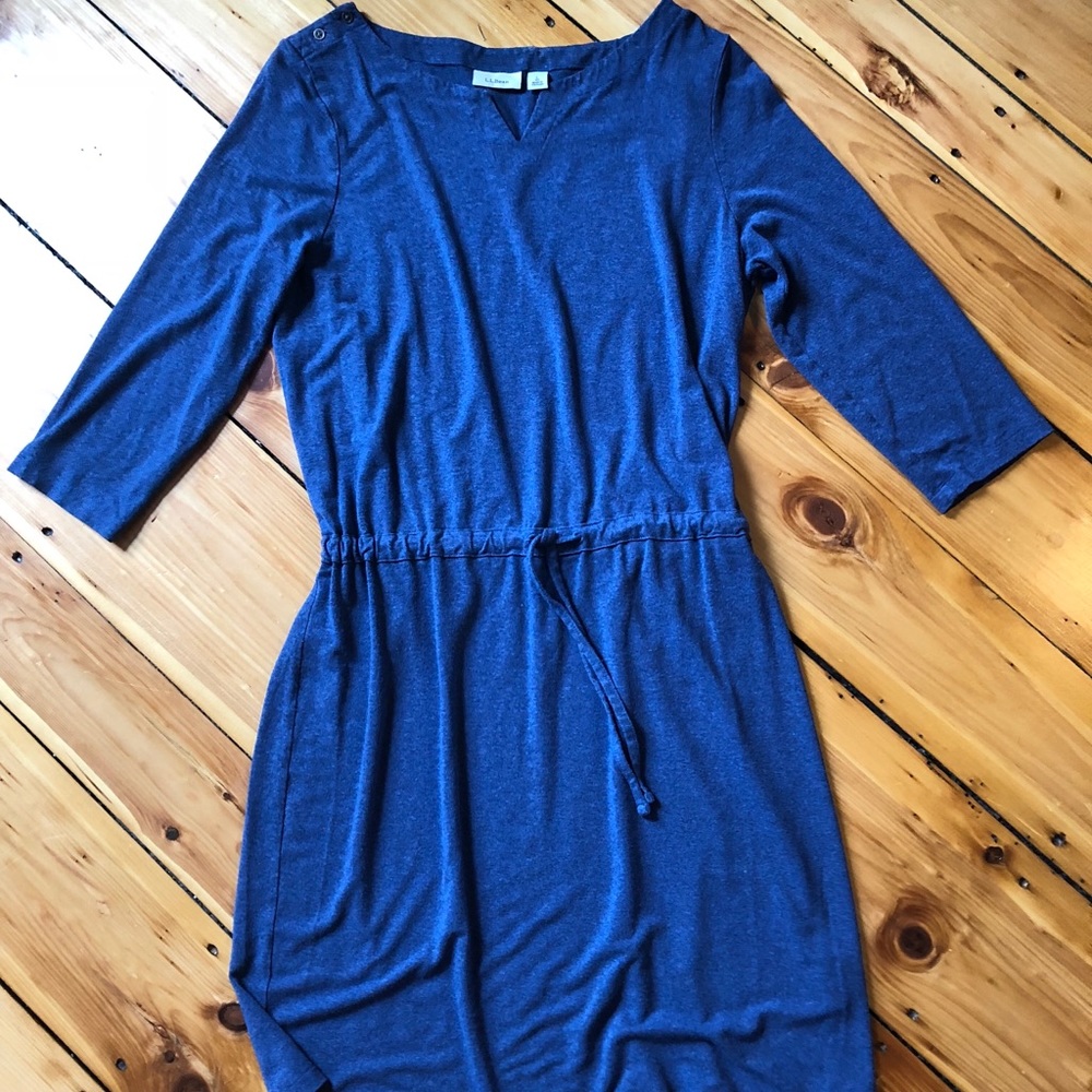 LL Bean Dress